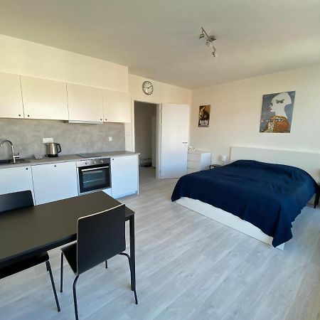 Cozy Studio With Garage In The City Center Plzeň Extérieur photo